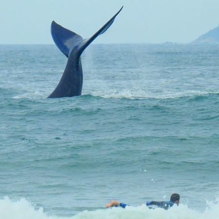 Tranquilidade Na Praia Da Gamboa Garopaba Exteriér fotografie